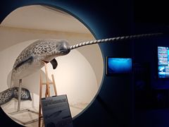 -重庆欢乐海底世界