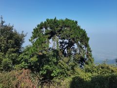 -终南山南五台景区