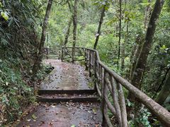 -海南热带雨林国家公园吊罗山景区