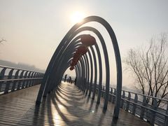 -大兴滨河森林公园