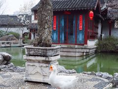 -祝家花園(伯渎港店)