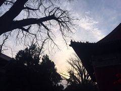 -赵记煎饼卷大葱(东岳店)