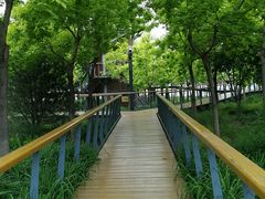 -东郊湿地公园