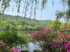 -杭州植物园