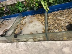 -火锅岛潮牌自助餐厅(天津天佑城店)