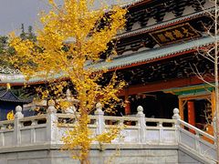 -莆田南少林寺