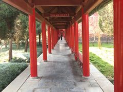 -天静宫