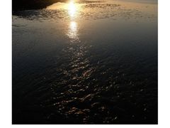 -南汇新城海滩