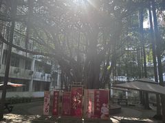 -厦门大学(思明校区)
