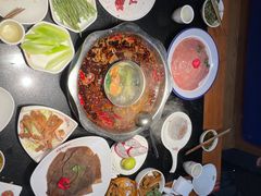 -晓秧锅鲜货火锅·重庆老字号(步步高店)