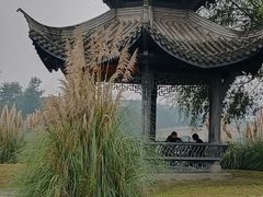 -眉山湿地公园(东坡区)