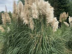 -贵阳市花溪国家城市湿地公园