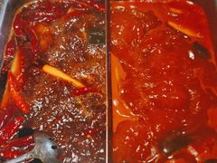 -渡娘火锅(大兴大悦春风里店)