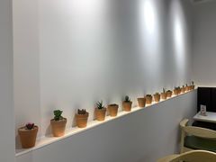 -ICEPOPO MILK(玖洲道店)