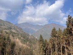 -杨记烧牛杂(蜀汉北街店)