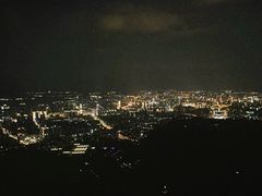 -长虫山生态公园风景林
