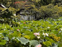-鹤冈八幡宫