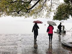 -西湖外事游船(湖滨二公园外事游船码头)