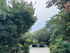 -杭州半山国家森林公园