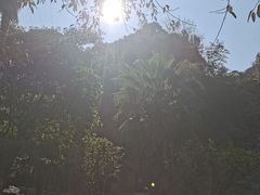 -灵光寺