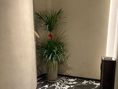 -不晚酒店(苏州观前平江路店)