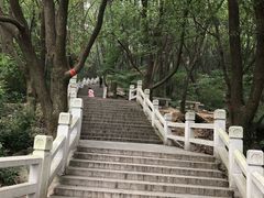 -灵岩山风景区