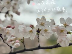 -堤角公园