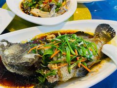 -东江海鲜大排档·潮汕菜·砂锅粥