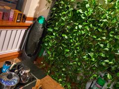 -孙三拨按摩拨筋(五一路店)