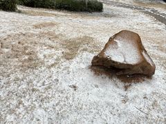 -长沙黑麋峰国家森林公园
