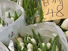 -三圣花乡旅游区