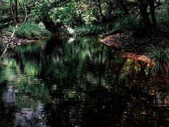 -海南热带雨林国家公园吊罗山景区