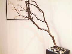 -麦子MaiMassage(打浦桥店)