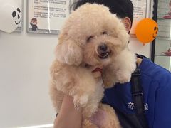 -萌兽医馆·宠物医院·猫骨科(创景店)