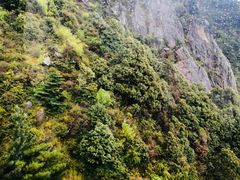 -苍山感通索道