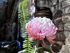 -驿舍·民國老营房院子私房菜(科学会堂店)