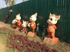 -菊园百果园