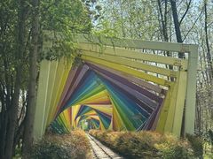 -合肥滨湖国家森林公园