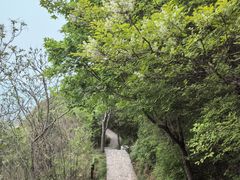 -北京凤凰岭