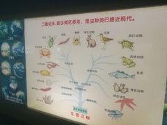 -上海昆虫博物馆