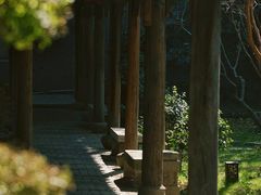 -秋霞圃