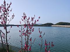 -长沙黑麋峰国家森林公园