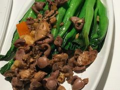 菜心炒鸽杂-大鸽饭(体育西路店)