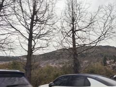 -东白山
