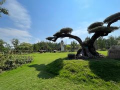 -东平国家森林公园