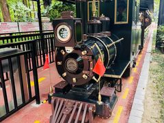 -黄海国家森林公园