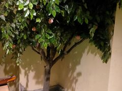 -奇门密室(五一新干线店)