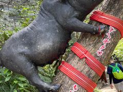 -蝶舞清江·恩施地心谷景区