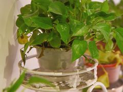 -陆壹捌餐厅(五大道店)