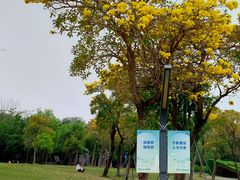 -深圳人才公园
